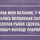 ���� ���, ������, 36 ��� - ��������� 10 ������� 2015 � ������ ������ ��������