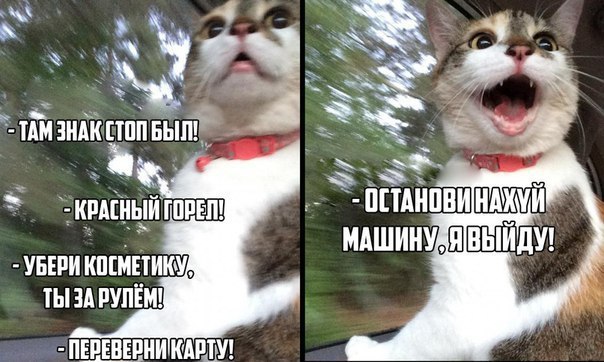 �� - 29 ������� 2015 � 19:58