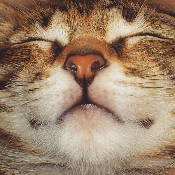  ! ^_^