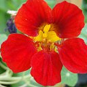 ���� Feruza, ������ - ��������� 20 ��� 2015 � ������ ���� ����������