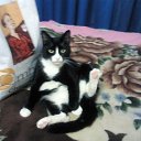 ��� ���� �����. �� ������� ���� ����������