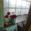 ���� H�������, ���������, 63 ���� - ��������� 11 �������� 2015 � ������ ������ ��������