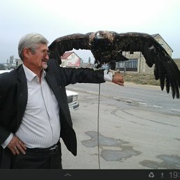 �����, ��������, 64 ����