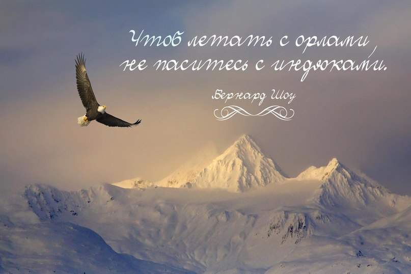   - 1  2015  17:22
