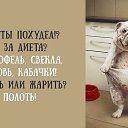 ���� ��������, ������, 56 ��� - ��������� 17 ���� 2015 � ������ ������ ��������
