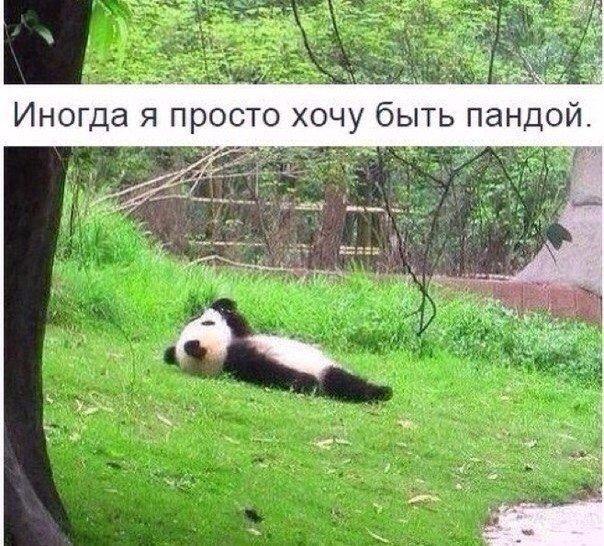    ! - 21  2015  09:05