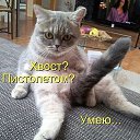 ���� �������, ������-��-���� - ��������� 24 ������ 2015 � ������ ������ ��������