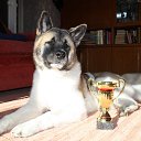 ��� ������� ������ ���� �� ������� ���� ����������