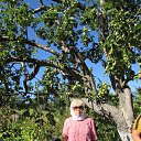 ���� ����, ��������, 63 ���� - ��������� 1 �������� 2015 � ������ ���� ����������