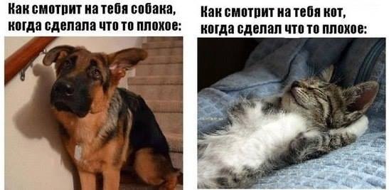   - 6  2015  10:00