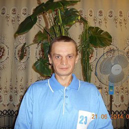 �����, ��������, 53 ����