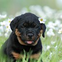 ���� ��������, ������������ - ��������� 1 �������� 2015 � ������ �!�