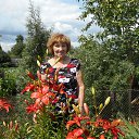 ���� ����, ��������, 74 ���� - ��������� 3 ������� 2015 � ������ �����