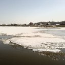 ���� Xylio, ���������, 54 ���� - ��������� 8 �������� 2015 � ������ ���� ����������