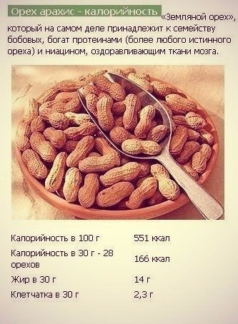 Орехи. Калорийность и полезные свойства.