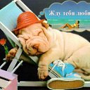 ���� ������, ����-��������� - ��������� 17 ������� 2015 � ������ ���� ����������