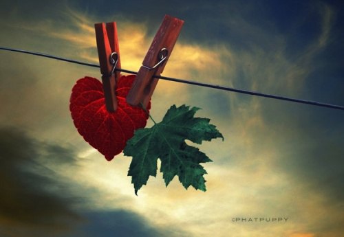Я тобою согрета... Я тобою забыта. По ночам одиноко взгляд ласкает свечу. Я тобою любима. Я тобою ...