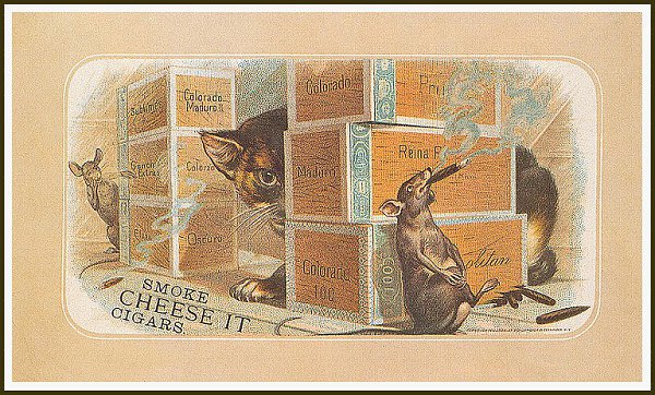 Cat in Old Ilustratives / Кошки на старых иллюстрациях - 5