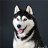 ���� ������, ��������, 45 ��� - ��������� 10 ������� 2015