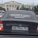 ���� ����, �����������, 41 ��� - ��������� 10 ���� 2015 � ������ ������ ��������