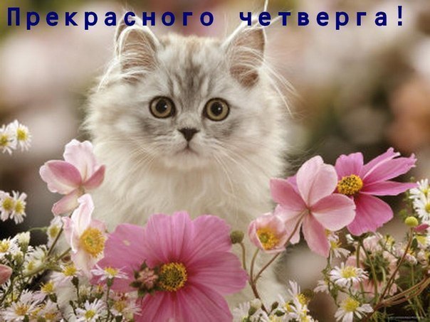 ����� - 28 ��� 2015 � 06:34