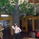 ���� �������, ��������� - ��������� 14 ������� 2015 � ������ ���� ����������