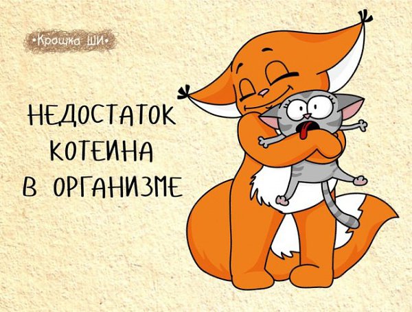 20 комиксов с девичьей правдой от белки Ши. Обаятельную толстушку с кисточками на ушах придумала ... - 7