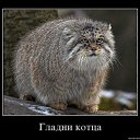 ���� ��������, ���� - ��������� 23 ���� 2015 � ������ ������ ��������