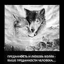 ���� Nelli>>>........................, ����������-���������, 49 ��� - ��������� 10 ���� 2015 � ������ ���� ����������