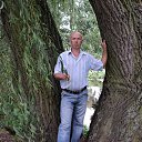 ���� ����, �����, 57 ��� - ��������� 8 ��� 2015 � ������ ���� ����������