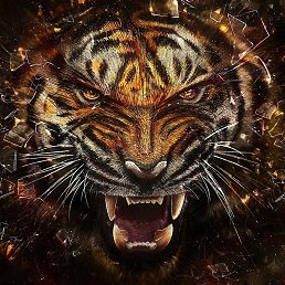 ���� ������, ������ - ��������� 16 �������� 2015