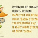   (), , 51  -  31  2015    