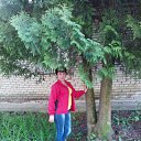 ���� ������, ���� - ��������� 26 ��� 2015 � ������ ���� ����������