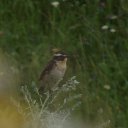 ������� ����� �� ������� �������