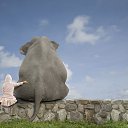 ���� ����������, ������, 63 ���� - ��������� 2 ���� 2015 � ������ ������ �������))�