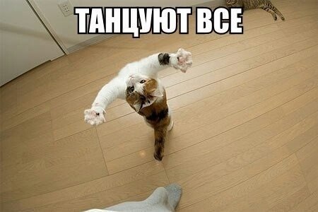  :3