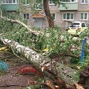 ���� �������, ������, 39 ��� - ��������� 14 ���� 2015 � ������ ������ ��������