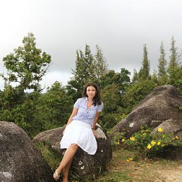 �������, ��������, 41 ���