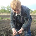  , , 56  -  3  2015   2015