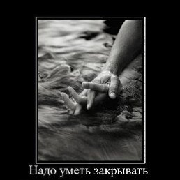  W.a.s.p.,   -  18  2015