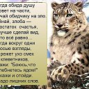 ���� ���������������, �������� - ��������� 18 ���� 2015 � ������ ������ ��������