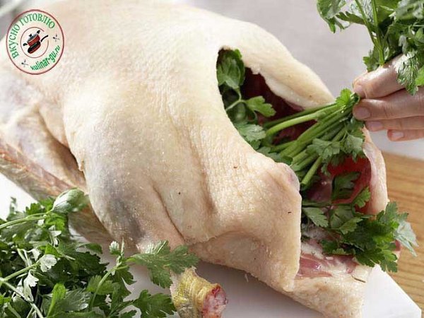 Жареный гусь с хрустящей корочкой.Ингредиенты:Красная капуста – 700 гГусь – 3 кгАпельсины – 2 ... - 2