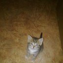 ���� ���������, �������, 42 ���� - ��������� 2 ���� 2015 � ������ ���� ����������