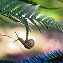 ���� Vikont, �����, 56 ��� - ��������� 20 ���� 2015 � ������ �������