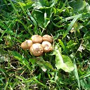 ������ �� ������� ������������ �������