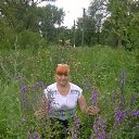  ,  , 67  -  29  2015    2015