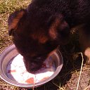 ���� ������, ���������, 57 ��� - ��������� 2 ���� 2015 � ������ ����������������