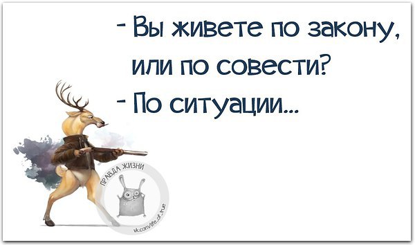  - 13  2015  13:54