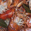 ���� ����� ������������, ������, 59 ��� - ��������� 28 ���� 2015 � ������ ���� ����������