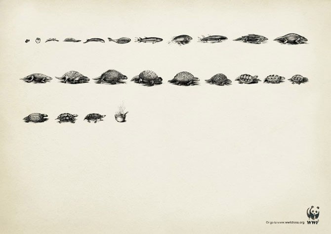    .  WWF.
